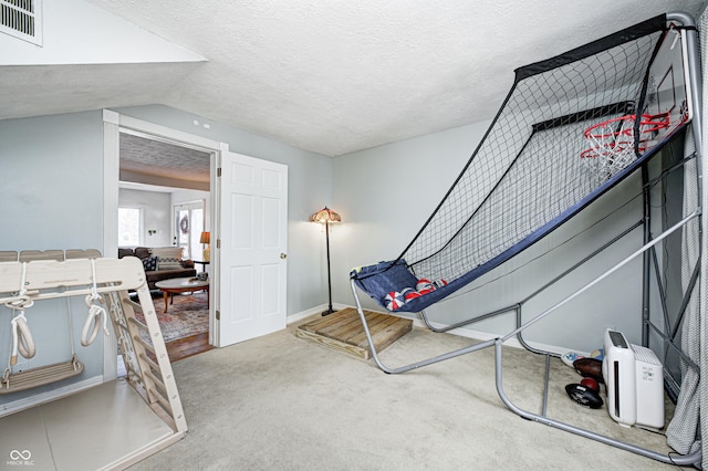 interior space with vaulted ceiling, carpet flooring, and a textured ceiling