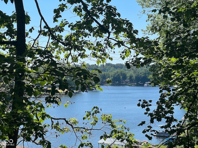 view of water feature