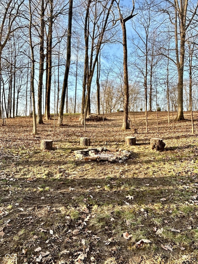 view of yard with a rural view