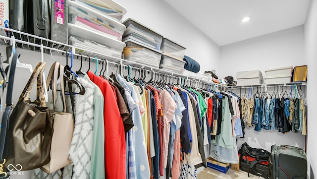 view of spacious closet