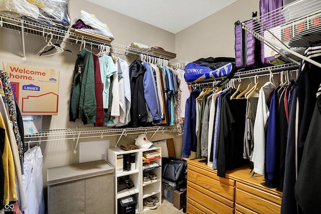 spacious closet featuring carpet floors