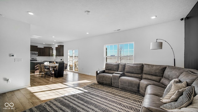 living room with dark hardwood / wood-style flooring