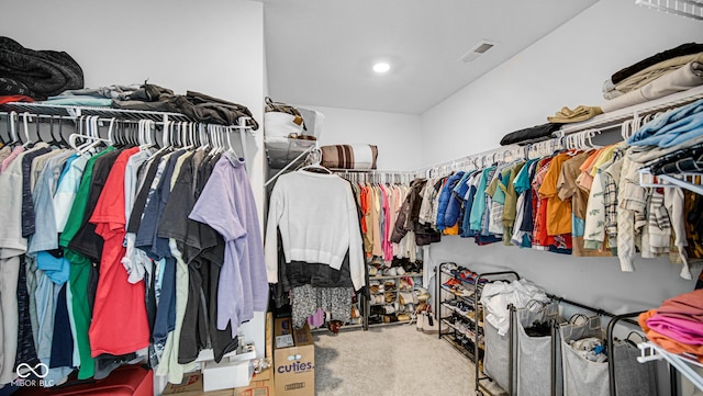 walk in closet featuring carpet