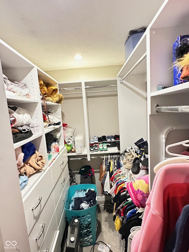 spacious closet with carpet floors