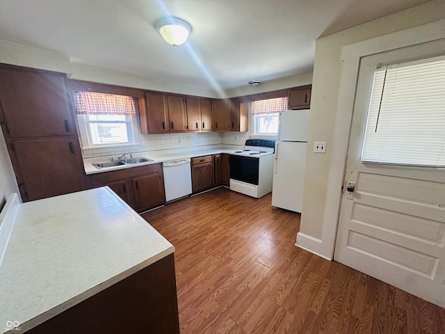 kitchen featuring white appliances, plenty of natural light, sink, and hardwood / wood-style floors