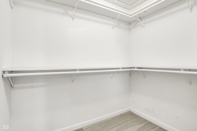 spacious closet with light colored carpet