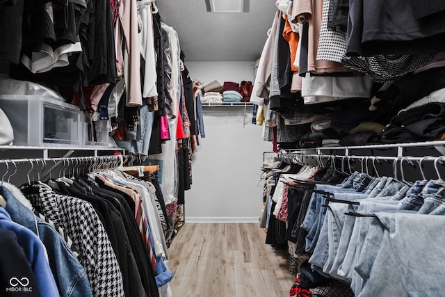 spacious closet with light wood-type flooring