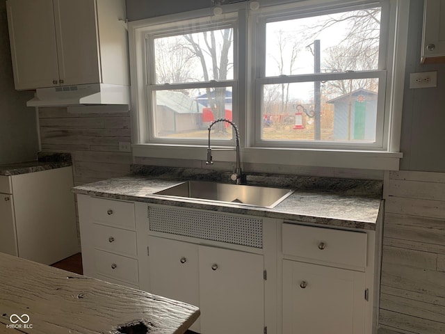 kitchen featuring white cabinetry and sink