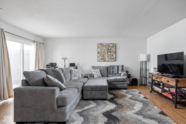 living room featuring hardwood / wood-style floors and a textured ceiling