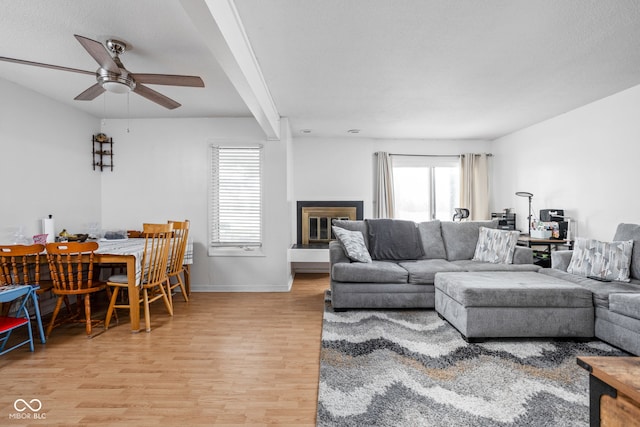 living room featuring ceiling fan and light hardwood / wood-style floors