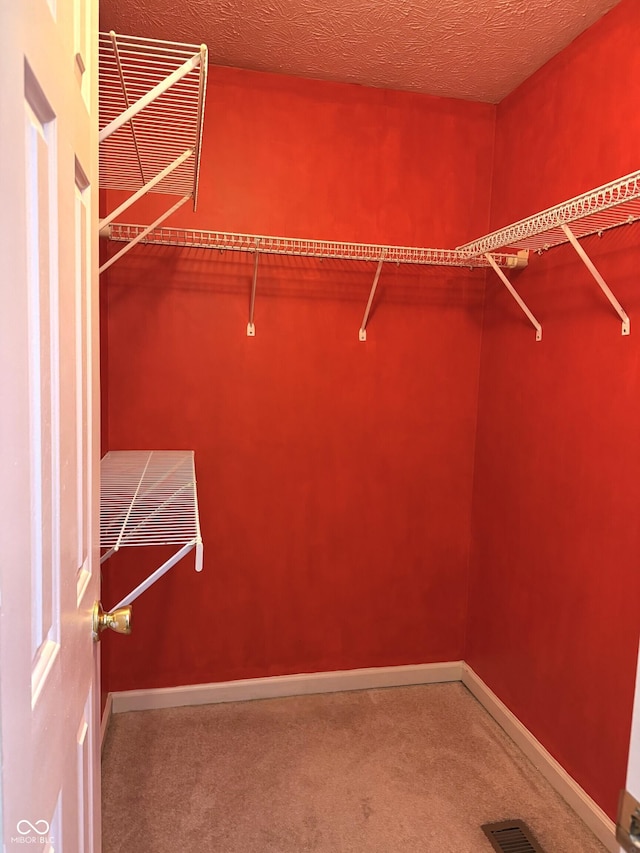 spacious closet featuring carpet flooring