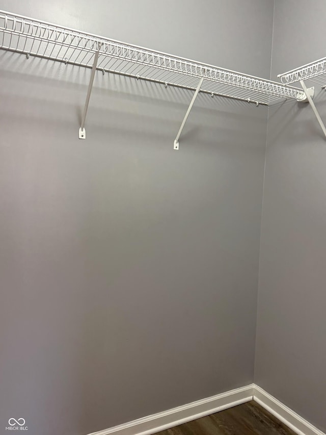 spacious closet featuring dark wood-type flooring