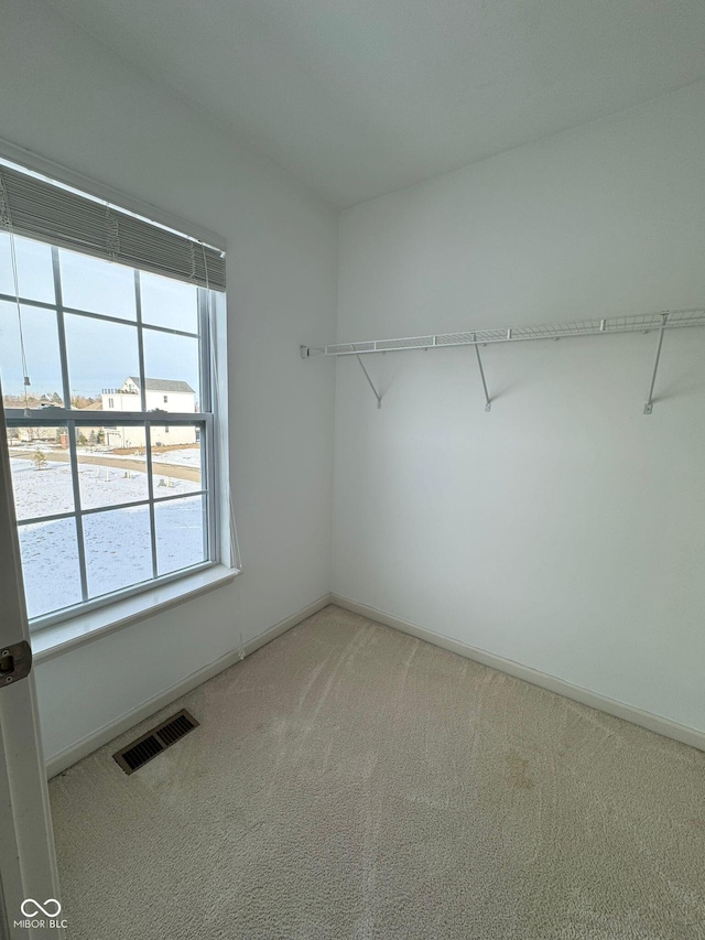 spacious closet with carpet