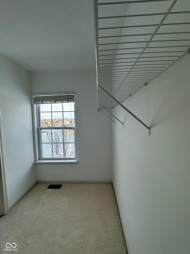 spacious closet featuring carpet floors