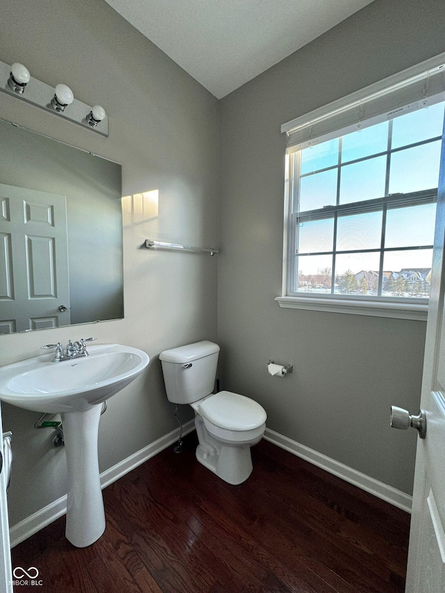 bathroom featuring hardwood / wood-style flooring, toilet, and sink