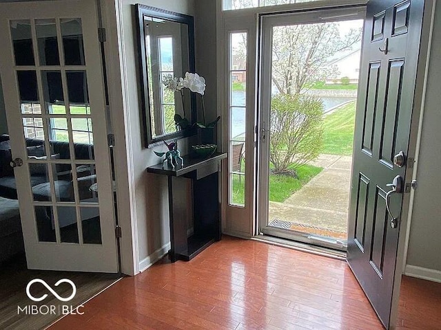 doorway to outside featuring wood-type flooring