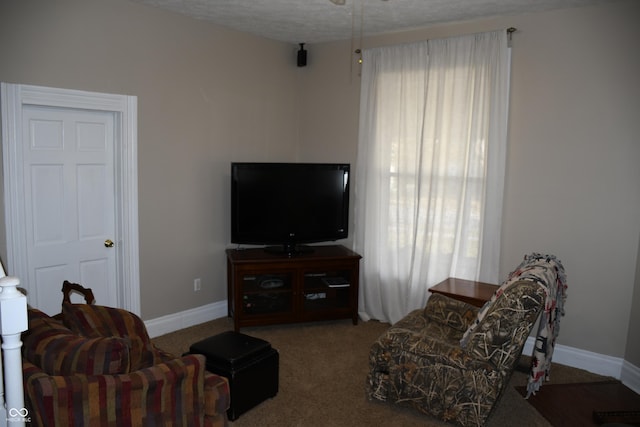 carpeted living room with a textured ceiling