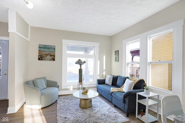 living room featuring hardwood / wood-style floors, a textured ceiling, and a wealth of natural light