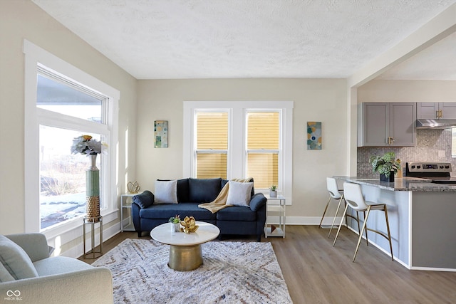 living room with a textured ceiling and light hardwood / wood-style floors