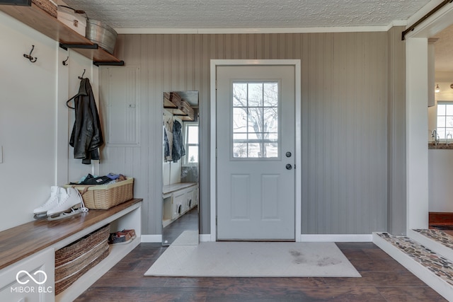 mudroom with plenty of natural light, dark hardwood / wood-style floors, and a textured ceiling