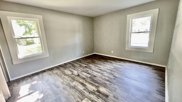 unfurnished room featuring dark hardwood / wood-style floors and a wealth of natural light