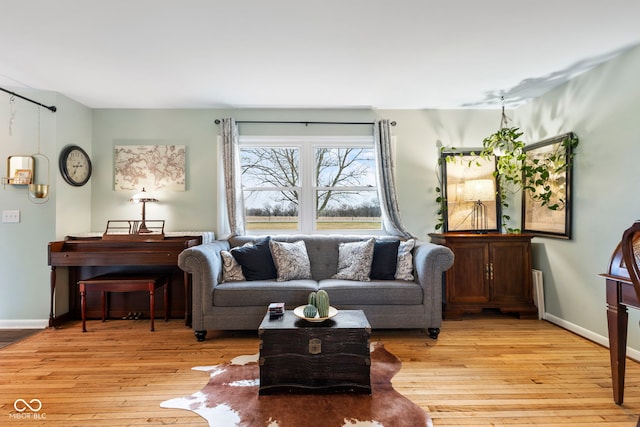 living room with light wood-type flooring