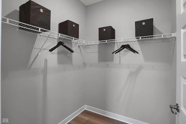 walk in closet with hardwood / wood-style flooring