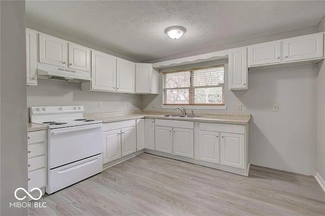 kitchen featuring sink, electric range, light hardwood / wood-style floors, white cabinets, and a textured ceiling