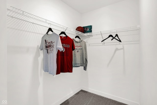 spacious closet featuring carpet