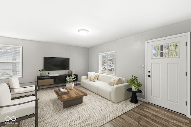 living room featuring hardwood / wood-style floors and a healthy amount of sunlight