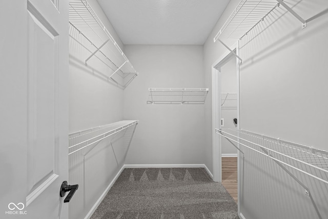 view of walk in closet