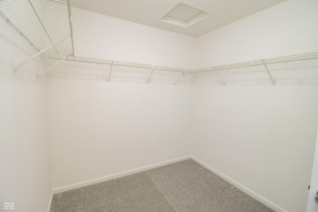 spacious closet with carpet flooring