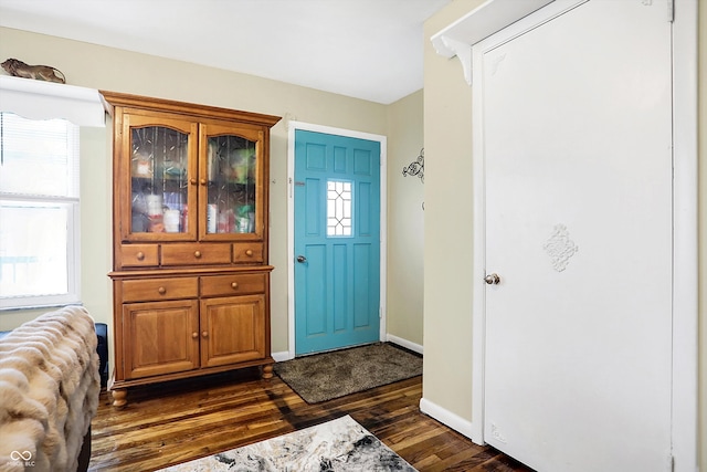 entrance foyer with dark wood-type flooring