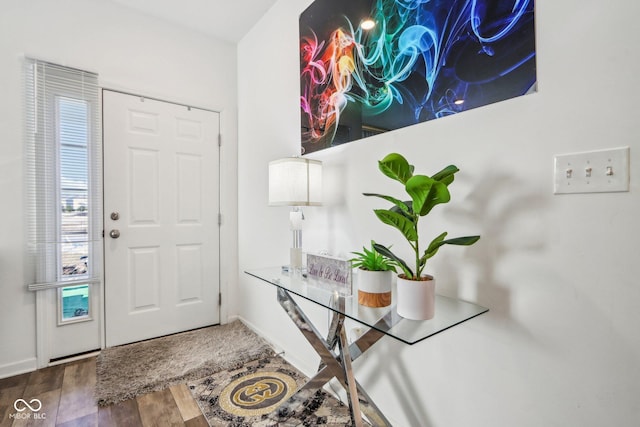 entryway featuring hardwood / wood-style flooring