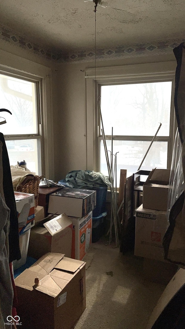 misc room with carpet, a healthy amount of sunlight, and a textured ceiling