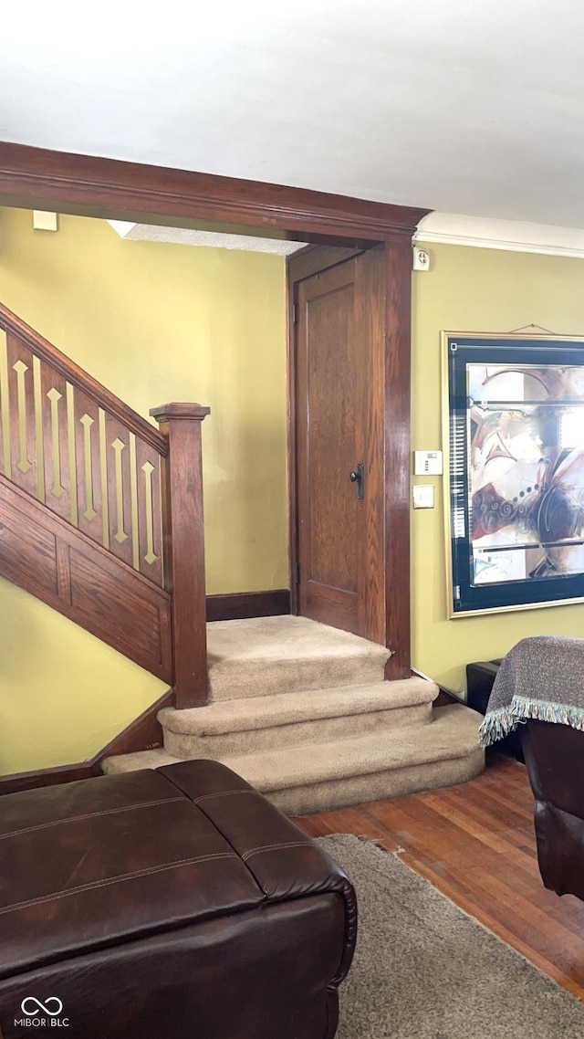 staircase featuring ornamental molding and wood-type flooring