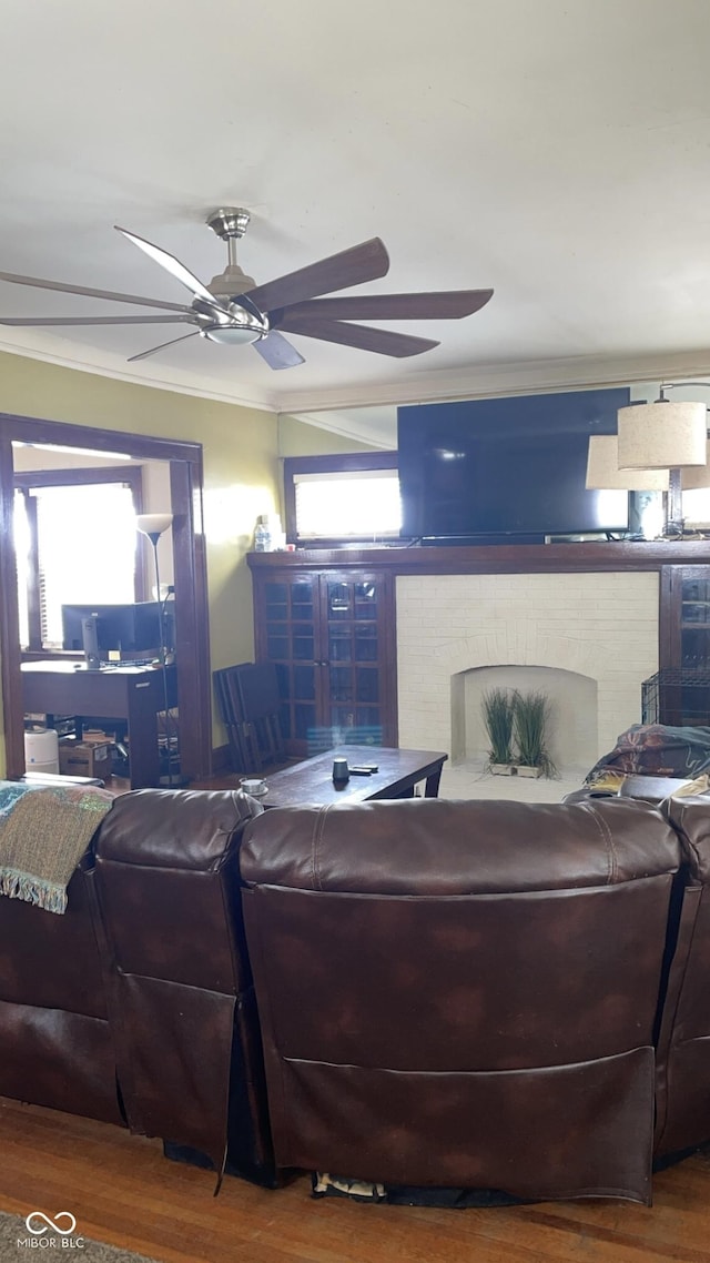 living room featuring crown molding, wood-type flooring, and ceiling fan