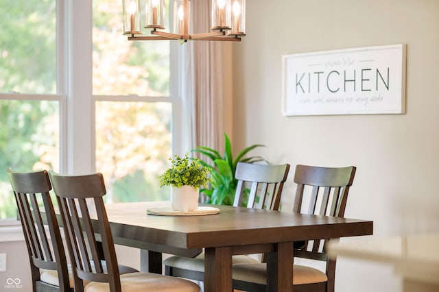 dining area featuring a wealth of natural light