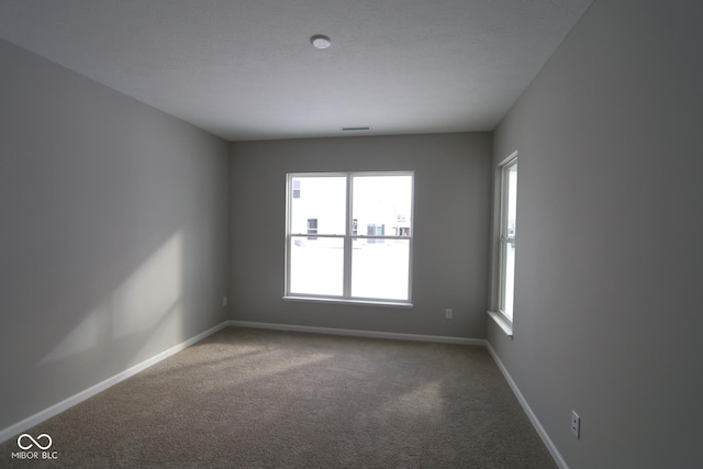 empty room with carpet flooring and a textured ceiling