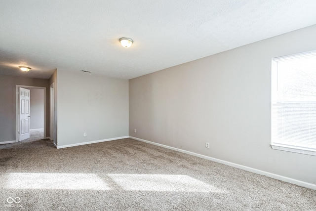 empty room featuring carpet