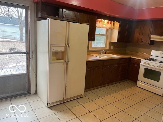 kitchen with dark brown cabinetry, sink, white appliances, and light tile patterned flooring