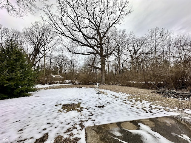 view of snowy yard