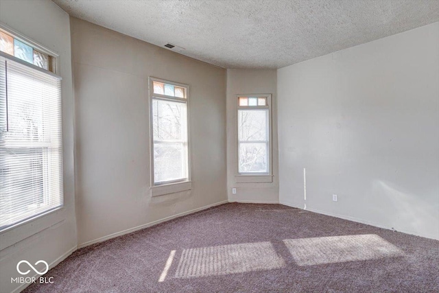 spare room featuring carpet and a textured ceiling