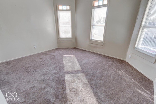 spare room with light carpet