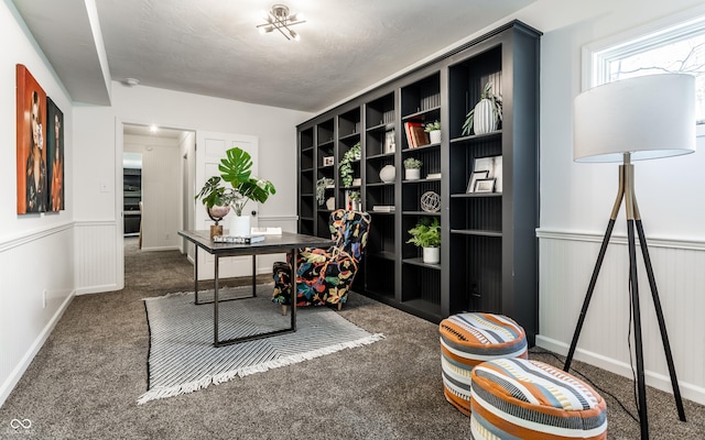 view of carpeted home office