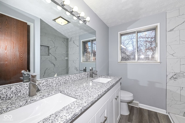 bathroom with vanity, wood-type flooring, toilet, and a textured ceiling