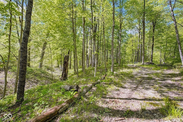 view of local wilderness featuring a wooded view