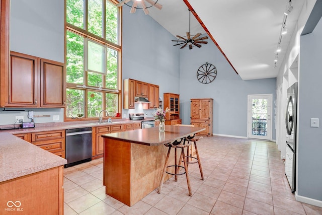 kitchen with a high ceiling, under cabinet range hood, rail lighting, a sink, and appliances with stainless steel finishes