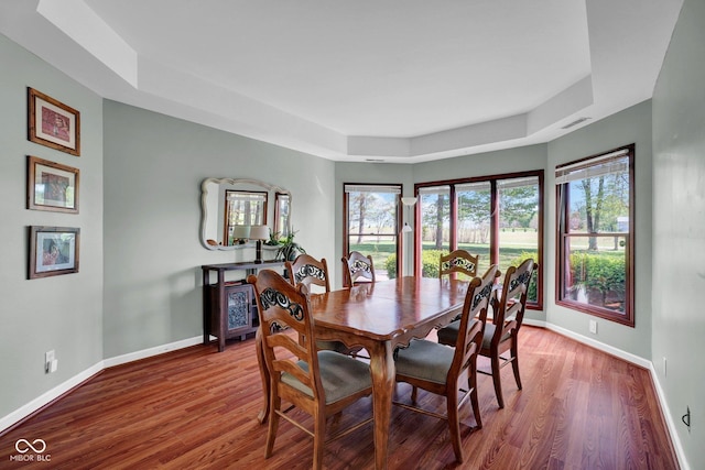 dining space with baseboards, wood finished floors, and a tray ceiling