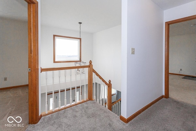 stairway with carpet